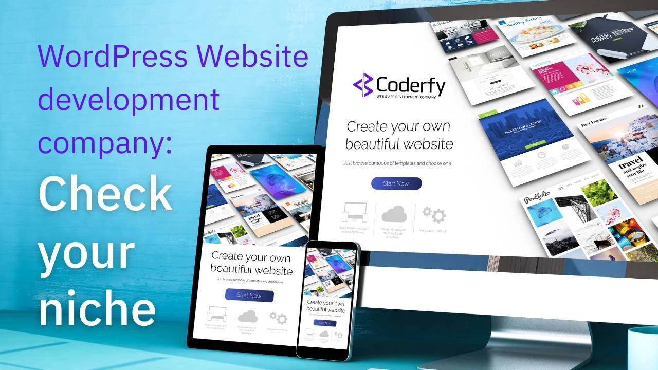 WordPress Web Design Company - check your niche