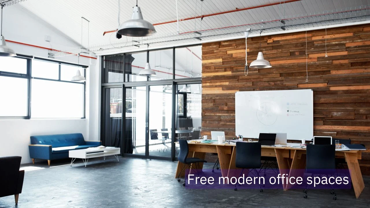 It software development company benefits from goverment